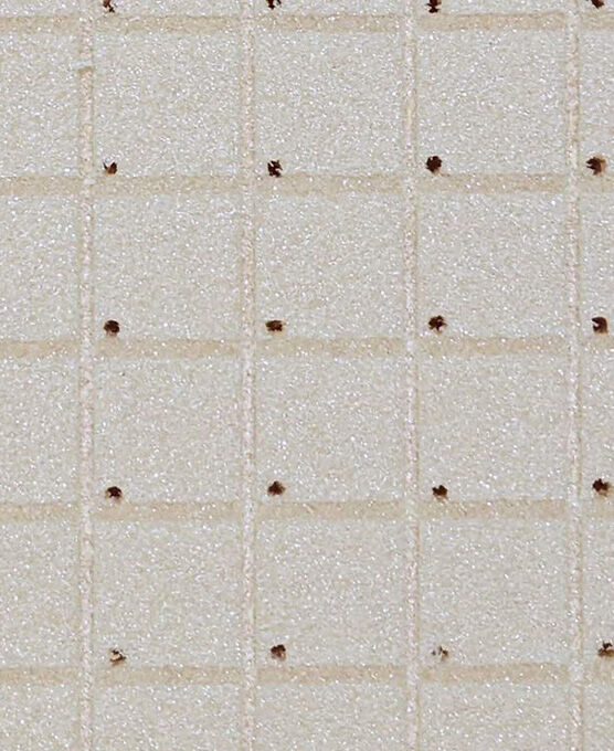 productname image number 2